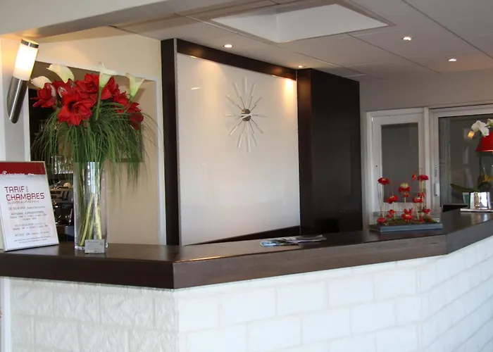 罗切布兰切酒店 维琪奥港